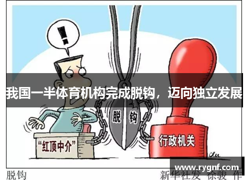 我国一半体育机构完成脱钩，迈向独立发展